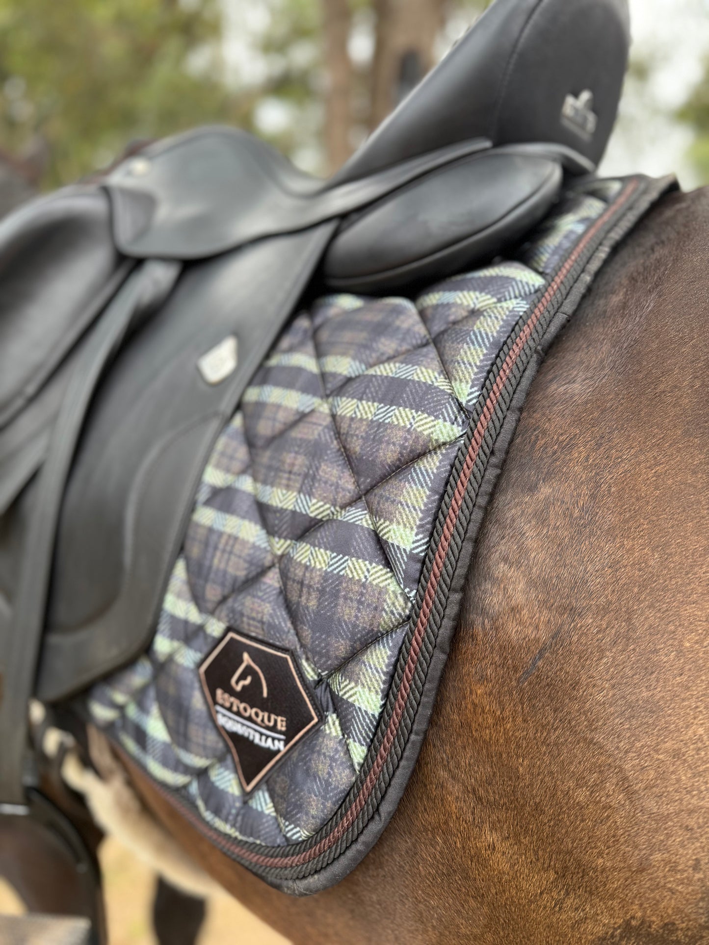 THE DELUXE CHECKERED DRESSAGE SADDLE PAD