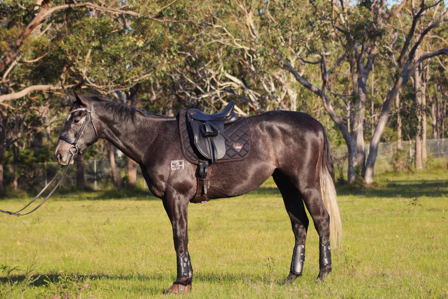 ESTOQUE SIGNATURE BLACK DRESSAGE PAD