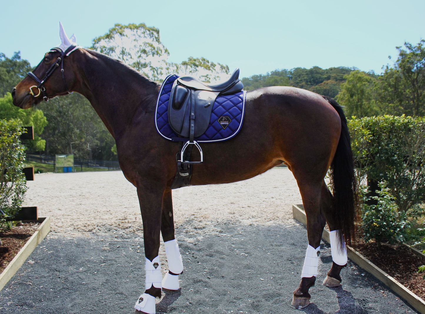 CLASSIC NAVY DRESSAGE SADDLE PAD