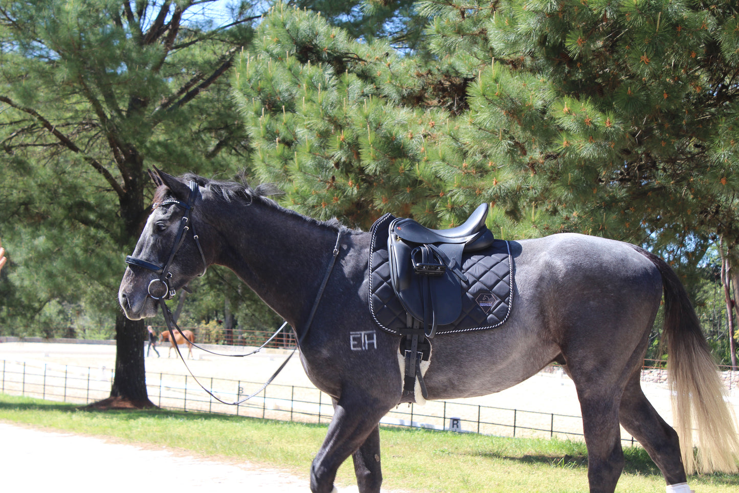 BLACK ALPINE DRESSAGE PAD