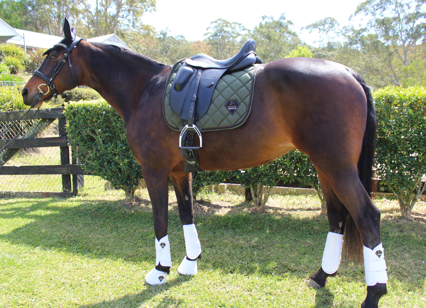 OLIVE GREEN DRESSAGE PAD