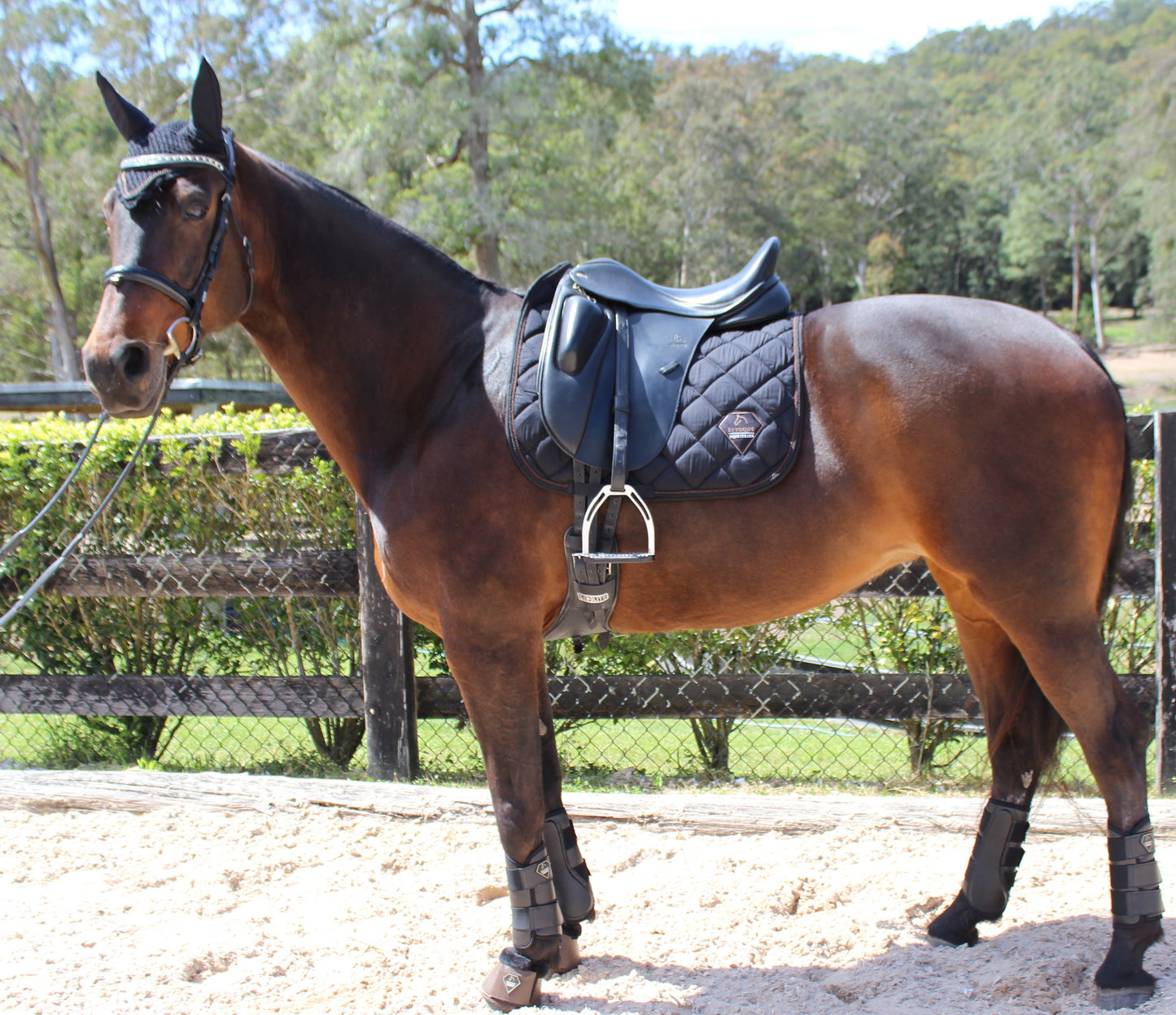 ESTOQUE SIGNATURE BLACK DRESSAGE PAD