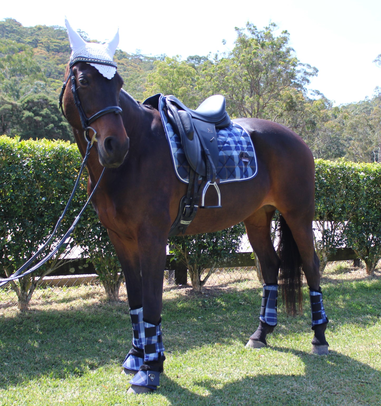 BLUE CHECKERED BELL BOOT