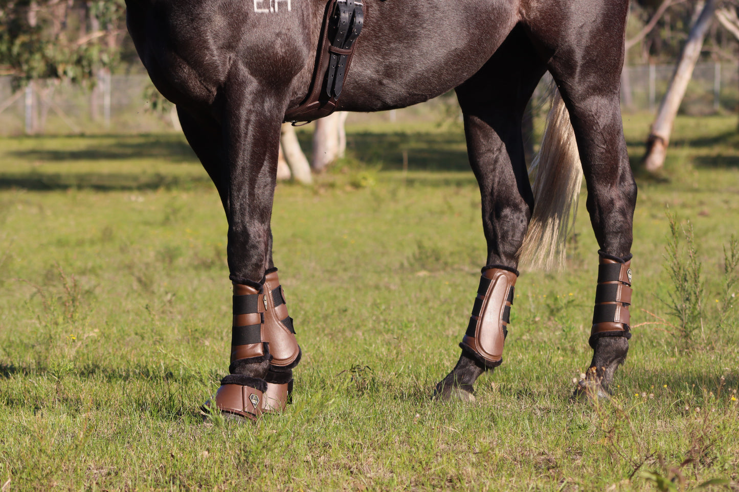 RICH BROWN BRUSHING BOOTS