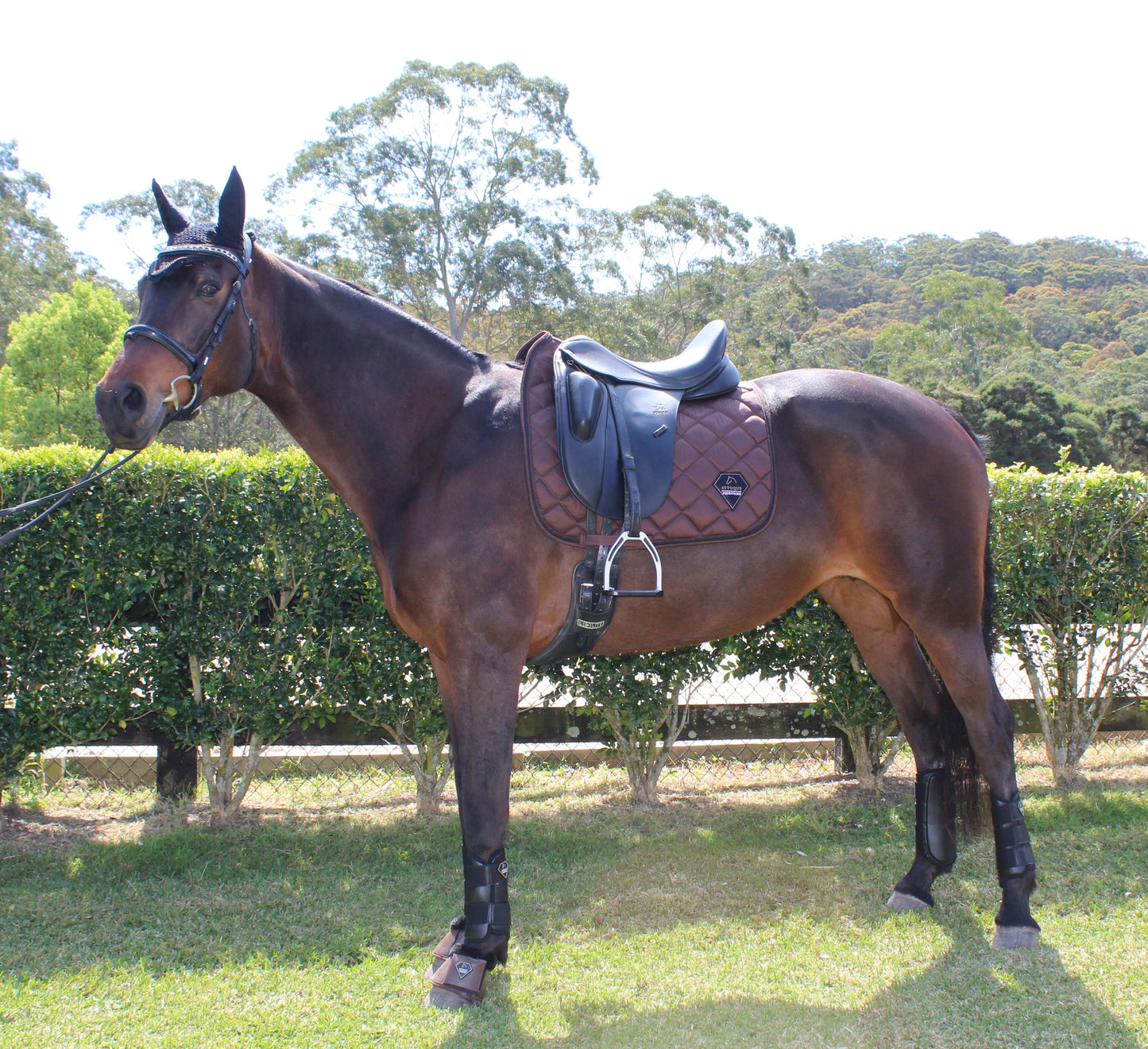 ESTOQUE SIGNATURE BROWN DRESSAGE PAD